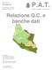P.A.T. Relazione Q.C. e banche dati. Comune di Susegana. Provincia di Treviso Regione del Veneto. Piano di Assetto del Territorio