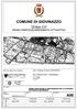 Comune di Giovinazzo Zona C3 Piano Particolareggiato Attuativo INDICE 1. PREMESSA... 2