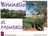 Brunello. Montalcino. Relatore Luciano Haudemand Brunello di Montalcino - 30 marzo 2018