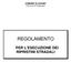 COMUNE DI AVIANO Provincia di Pordenone REGOLAMENTO PER L ESECUZIONE DEI RIPRISTINI STRADALI