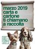 marzo 2019 carta e cartone ti chiamano a raccolta