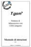 T gsm. Manuale di istruzioni. Sistema di telesoccorso con GSM integrato. Edizione 11.1 del 29/06/ SW 2.3