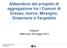 Abbandono del progetto di aggregazione tra i Comuni di Gresso, Isorno, Mosogno, Onsernone e Vergeletto. Infopoint Bellinzona, 29 maggio 2013