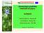 molluschi Microbiologia predittiva Presentazione del progetto: Gabriele Squintani - Regione ER Anna Padovani - Regione ER Antonio Cuccurese - AUSL RE