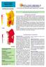 Agosto Considerazioni climatiche. anno IV numero 8 TEMPERATURA MASSIMA. a cura del Servizio Agrometeorologico Regionale per la Sardegna.