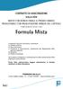 FORMULA MISTA (Tariffa 31FB2) Formula Mista