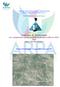 Campagna di Monitoraggio con campionatori passivi (radielli) di idrogeno solforato (H 2 S) 2016 AREA TEMPA ROSSA