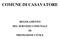 COMUNE DI CASAVATORE REGOLAMENTO DEL SERVIZIO COMUNALE DI PROTEZIONE CIVILE