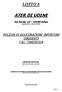 LOTTO 8 ATER DI UDINE. Via Sacile, Udine Partita IVA n.: POLIZZA DI ASSICURAZIONE INFORTUNI DIRIGENTI CIG: A