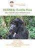UGANDA: Gorilla Tour