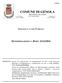 COMUNE DI GENOLA PROVINCIA DI CUNEO C.A.P P.IVA: Via Roma, 25 Tel Fax