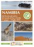 NAMIBIA. dal deserto più antico del mondo al Parco Etosha 21 giugno 4 luglio 2019