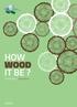 FSC ITALIA DESIGN AWARD: La foresta in una stanza 4 edizione // How wood it be? / Furniture
