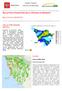 BOLLETTINO FITOSANITARIO DELLA PROVINCIA DI GROSSETO DALLE PREVISIONI METEO OLIVO BOLLETTINO DEL Mosca delle olive.