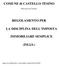 COMUNE di CASTELLO TESINO REGOLAMENTO PER LA DISCIPLINA DELL IMPOSTA IMMOBILIARE SEMPLICE (IM.I.S.)