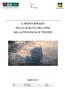 IL MONITORAGGIO DELLA QUALITA DELL ARIA NELLA PROVINCIA DI TREVISO