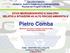 SALUTE E RIFIUTI: RICERCA, SANITÀ PUBBLICA E COMUNICAZIONE Risultati dei Progetti CCM 2010