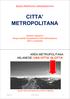 AREA METROPOLITANA MILANESE: UNA CITTA DI CITTA