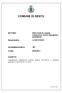 COMUNE DI SESTU SETTORE : Affari Generali, Appalti, Contenzioso, Servizi Demografici ed Elettorali Licheri Sandra. Responsabile: DETERMINAZIONE N.