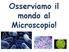 Osserviamo il mondo al Microscopio!