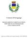 REGOLAMENTO COMUNALE PER IL SERVIZIO DI AUTONOLEGGIO CON CONDUCENTE