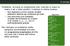 C array. Problema: scrivere un programma che, ricevuto in input un intero n ed n interi positivi, li stampi in ordine inverso.