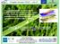 A model to estimate irrigation water deficit in upper veneto and friuli plains in adaptation to climate change (european project life+ TRUST)