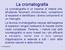 La cromatografia. Cromatografia1 1