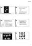 20/03/19 MORFOLOGIA ED ANATOMIA DELLE FOGLIE. FOGLIE: alterne e distiche, cioè disposte in due serie longitudinali diametralmente opposte.