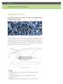 La superficie Straumann SLActive è basata sulla topografia SLA scientificamente provata.