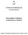 COMUNE DI PRESEGLIE. Provincia di Brescia REGOLAMENTO COMUNALE DI DISCIPLINA AL TRANSITO