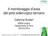 Il monitoraggio d area del polo siderurgico ternano