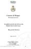 Comune di Moggio CLASSIFICAZIONE ACUSTICA DEL TERRITORIO COMUNALE RELAZIONE TECNICA. (Provincia di Lecco) Moggio, Aprile 2009