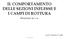 IL COMPORTAMENTO DELLE SEZIONI INFLESSE E I CAMPI DI ROTTURA