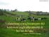 Valutazione e miglioramento del benessere negli allevamenti di bovini da latte. P. Zappavigna Università di Bologna