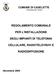 REGOLAMENTO COMUNALE PER L INSTALLAZIONE DEGLI IMPIANTI DI TELEFONIA CELLULARE, RADIOTELEVISIVI E RADIODIFFUSIONE