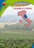 Il biologico in Umbria