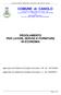 Comune di CANOLO: Regolamento Comunale per Lavori, Servizi e Forniture REGOLAMENTO PER LAVORI, SERVIZI E FORNITURE IN ECONOMIA