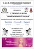 ORGANIZZA. Manifestazione di Judo individuale per le categorie. 24 Febbraio 2019 Scuola media Luigi Pirandello Via degli Appennini 55 Fonte Nuova (RM)