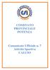 COMITATO PROVINCIALE POTENZA. Comunicato Ufficiale n. 7 Attività Sportiva CALCIO