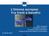 L'Unione europea: Tra limiti e benefici