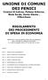 UNIONE DI COMUNI DEI FENICI Comuni di Cabras, Palmas Arborea, Riola Sardo, Santa Giusta, Villaurbana