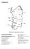 2 SSN Olbia Tempio. Sassari 1 LILT. Nuoro. Oristano. Oristano Ogliastra. Medio Campitano. Cagliari. Carbonia Iglesias