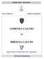 SERIE BKT 2018/2019 COSENZA CALCIO BRESCIA CALCIO. Sabato 9 marzo ore 15:00, Stadio S.Vito Gigi Marulla