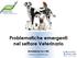 Problematiche emergenti nel settore Veterinario. Maddalena De Cillà Medico Veterinario