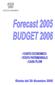 Bilancio Preconsuntivo 2005 Budget 2006