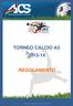 TORNEO CALCIO A REGOLAMENTO