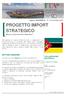 Programma missione PROGETTO IMPORT STRATEGICO COME PARTECIPARE. Maputo, MOZAMBICO CONTATTI 14/11