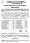 COMUNE DI CAMPAGNA. Provincia di Salerno COPIA DI DELIBERAZIONE DEL CONSIGLIO COMUNALE. N 36 del 28/07/2010