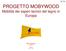 PROGETTO MOBYWOOD Mobilità dei saperi tecnici del legno in Europa
